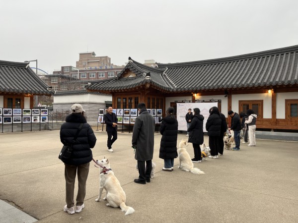 수원시가 매너견 교육 인증자와 반려견을 대상으로 반려동물 문화교실을 운영하고 있다.