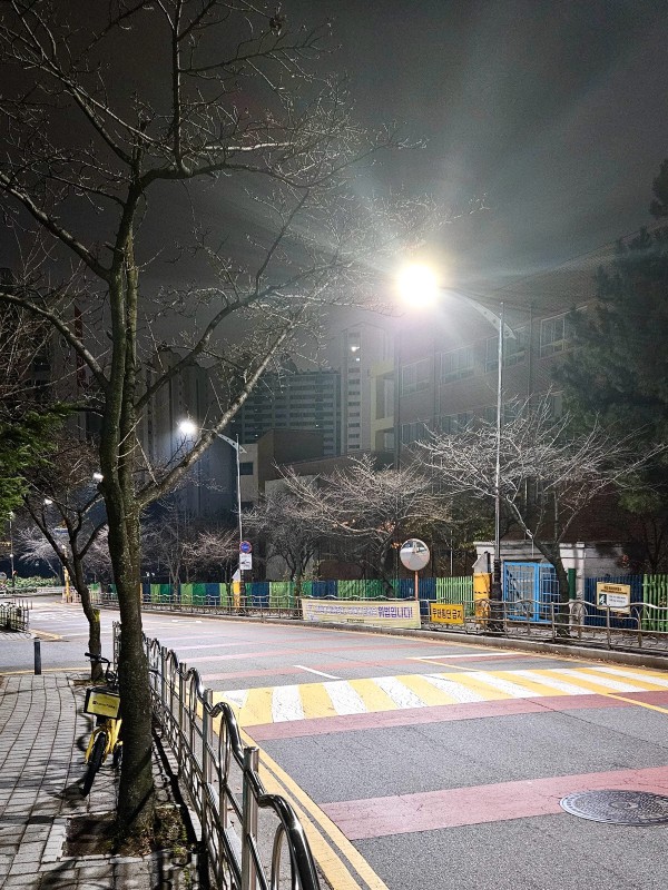 수지구 신리초교 일원 조도 개선